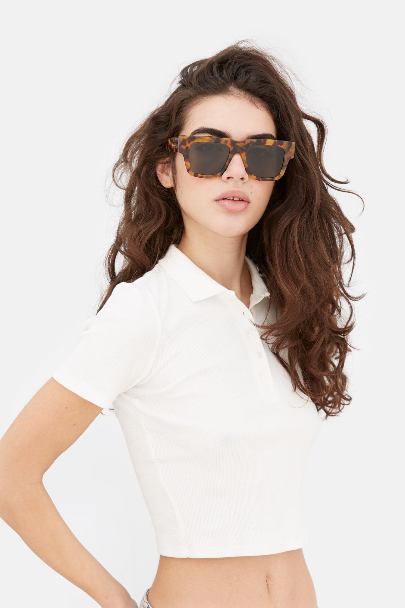 mega spotted havana