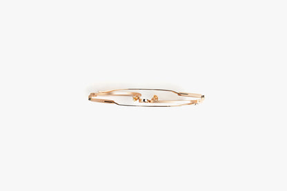 Apex 09-C1 Rose Gold w/ Mirrored Light Gold Lenses