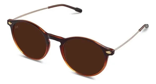 Sun cruz brown bronze