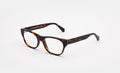 numero 12 havana nostra